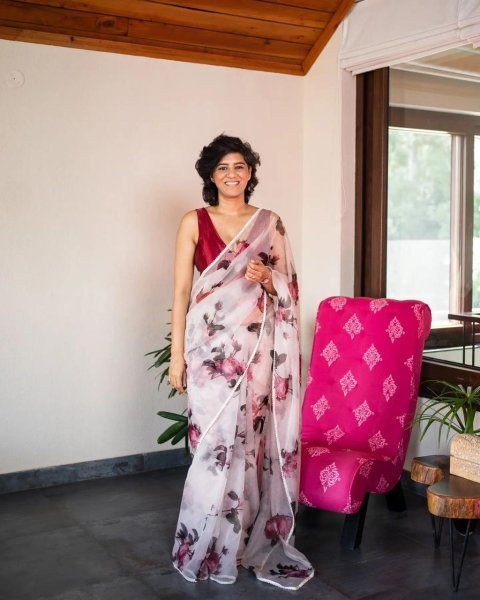 Organza Saree Collection With Pearl Lace  Organza Sarees Wholesale