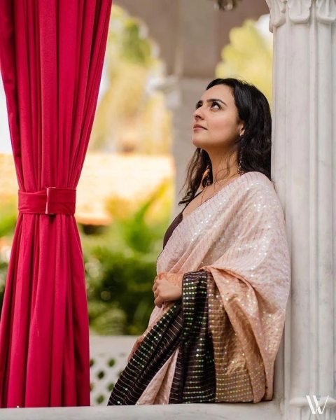 Party Wear Heavy Vichitra Silk Saree With Sequence Work  Silk Sarees Wholesale