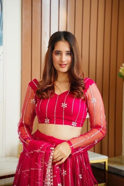 Party Wear Net Lehenga Choli With Sequence   Embroidery Work  Designer Lehenga Choli