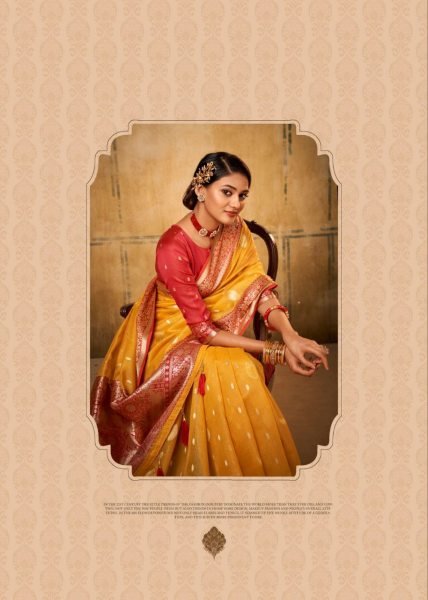 Petals Glow Banarasi Tissue Saree with Luxe Contrast Border Heritage Look for Celebrations Banarasi Saree Wholesale