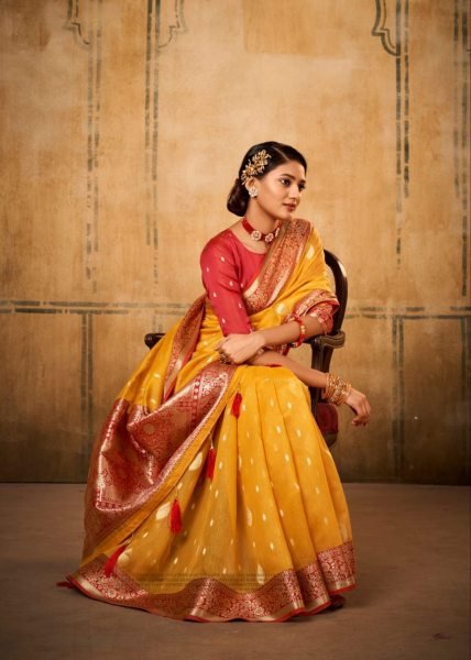 Petals Glow Banarasi Tissue Saree with Luxe Contrast Border Heritage Look for Celebrations Banarasi Saree Wholesale
