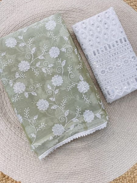 Premium Pista Shade Jimmy Chu Chikankari Saree Chikankari Sarees Wholesale