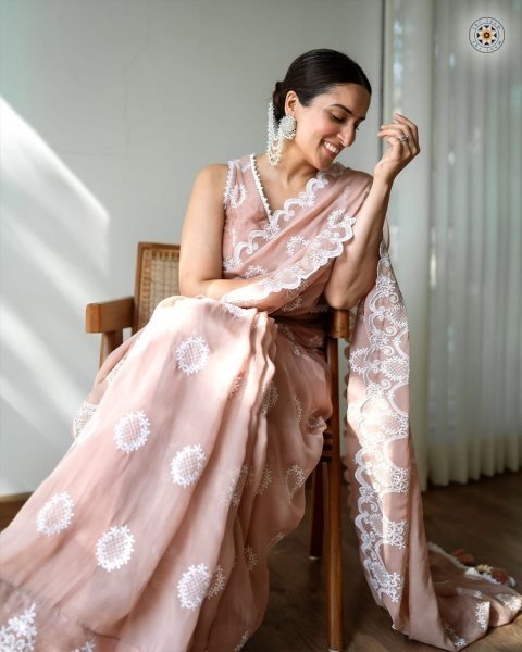 Premium Teby Organza Silk Saree With Embroidery Work  Organza Sarees Wholesale