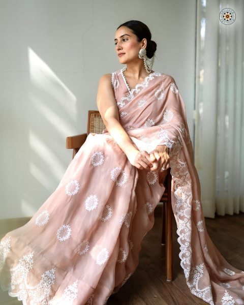 Premium Teby Organza Silk Saree With Embroidery Work  Organza Sarees Wholesale