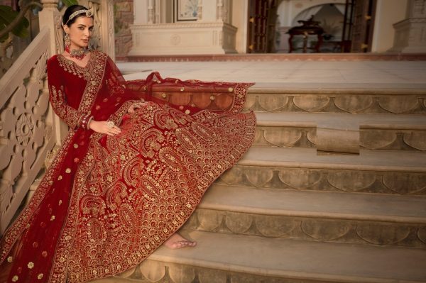 Presenting Velvet Anarkali Collection With Butterfly Net Dupatta Wedding Bridal Dress Wholesale