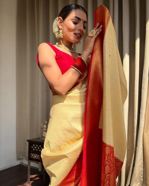Pure Banarasi Copper Zari Weaving Soft Silk Saree Banarasi Saree Wholesale