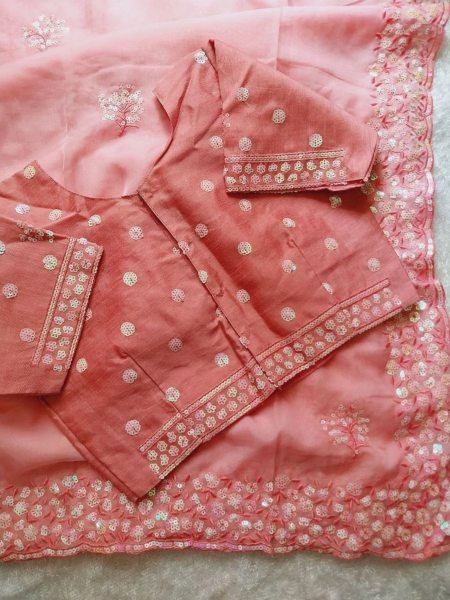 Ready-to-Wear Organza Saree with Elegant Sequin Work Buy Online at Best Price Organza Sarees Wholesale