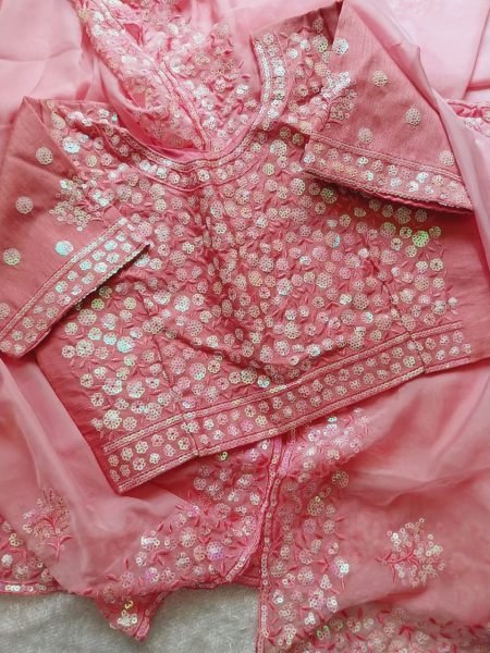 Ready-to-Wear Organza Saree with Elegant Sequin Work Buy Online at Best Price Organza Sarees Wholesale