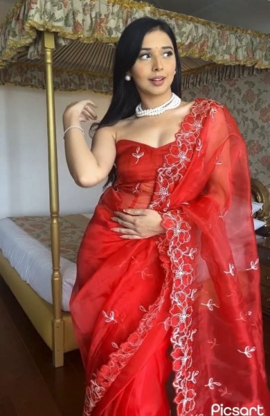 Red Pure Organza Saree with Thread Embroidery work    Ready To Wear Saree 