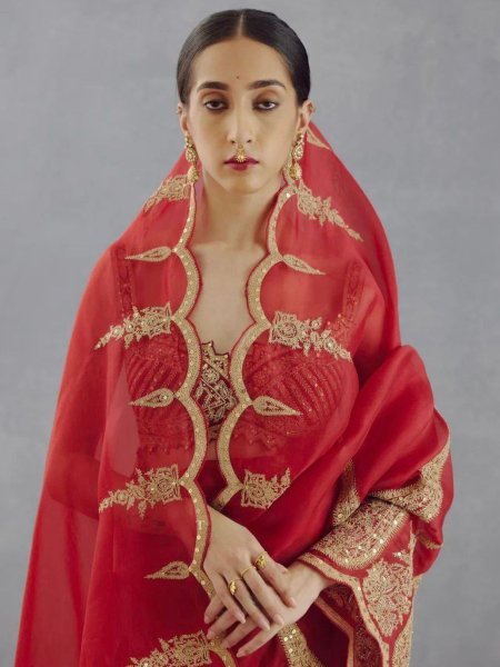 Red Organza Silk Saree with Heavy Sequin Embroidery and Cutwork Border Wedding Special Sarees 