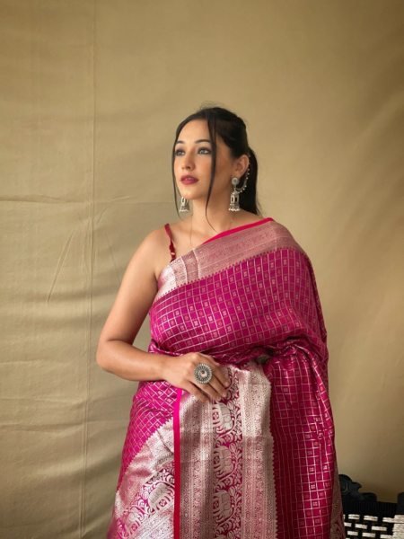  Rich Zari Pallu And Attractive Kanchipuram Border Saree Silk Sarees Wholesale