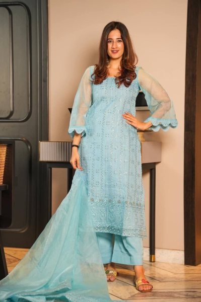 Soft Organza Kurti Pant Set  3 Piece Kurti Set