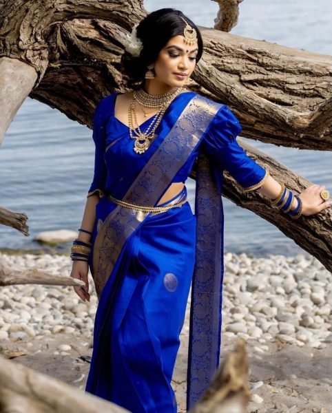 Soft Silk Wholsaler Best Saree Collection Silk Sarees Wholesale