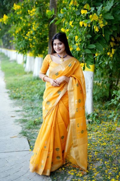 Traditional Wear Linen Silk Saree With Weaving Border Silk Sarees Wholesale