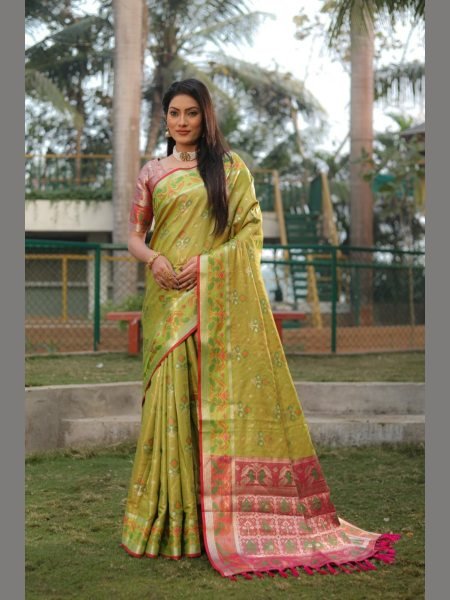 Very Beautiful and Premium Organza Silk Patola Sarees  Organza Sarees Wholesale
