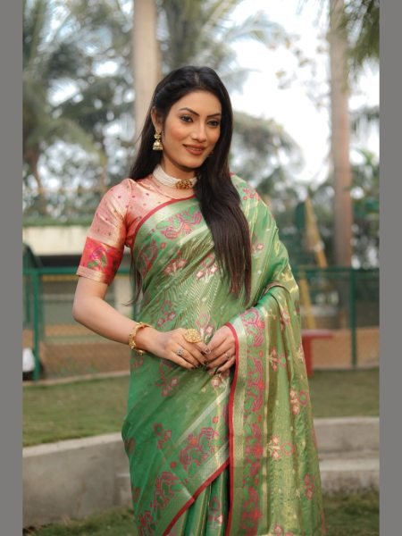 Very Beautiful and Premium Organza Silk Patola Sarees  Organza Sarees Wholesale