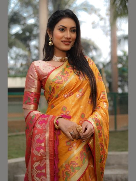 Very Beautiful and Premium Organza Silk Patola Sarees  Organza Sarees Wholesale