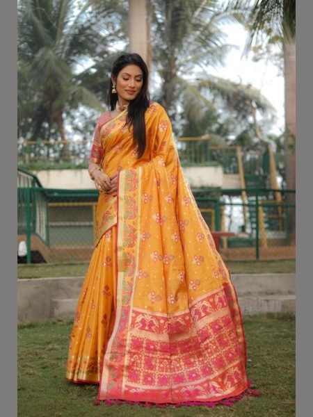 Very Beautiful and Premium Organza Silk Patola Sarees  Organza Sarees Wholesale