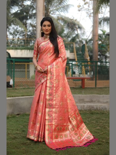 Very Beautiful and Premium Organza Silk Patola Sarees  Organza Sarees Wholesale