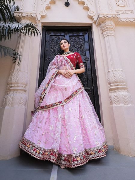 Wedding Wear Organza Embroidery Lace Broder Work Lehenga Choli Designer Lehenga Choli