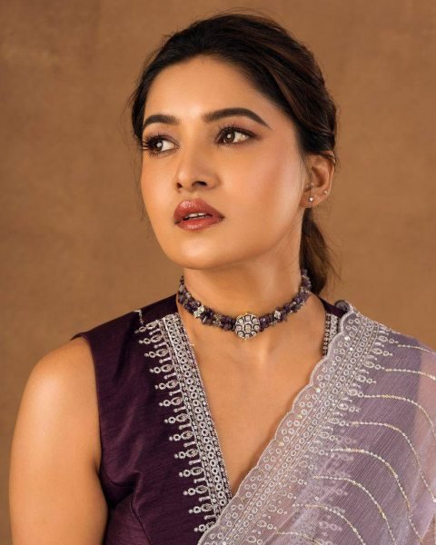 Womens Soft Burberry Embroidery Work Saree With Unstitched Blouse Piece Embroidery Sarees Wholesale